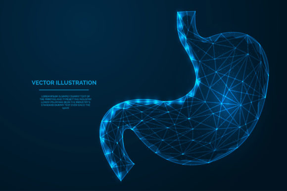 Download Stomach Low Polygonal Blue Wireframe - Frame Collection