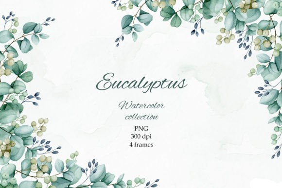 Download Eucalyptus. Watercolor Frames. PNG. - Frame Collection
