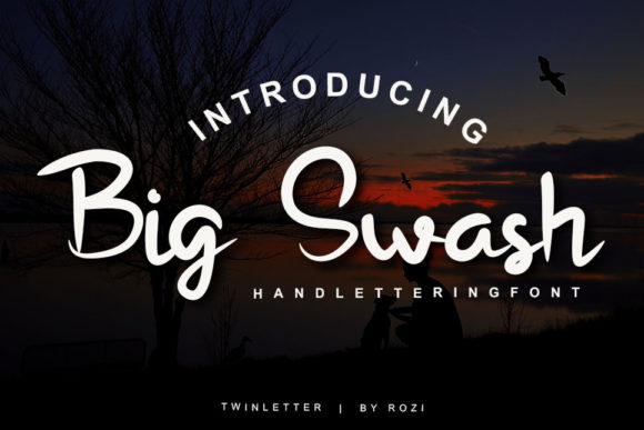 Download Big Swash - Swash Collection